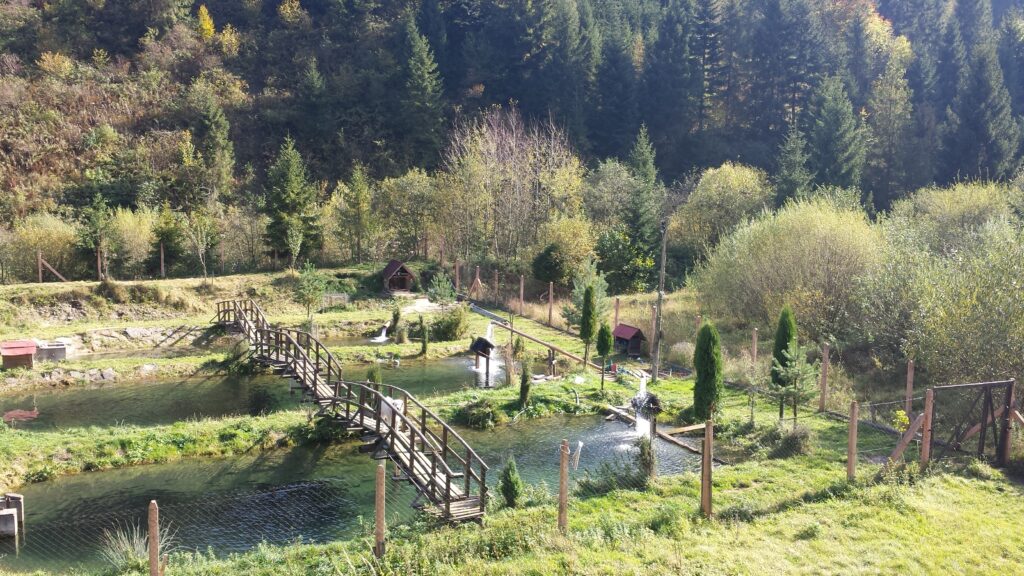 Pstruháreň Kolačkov – areál farmy a rybníky v Kolačkove (foto 24)
